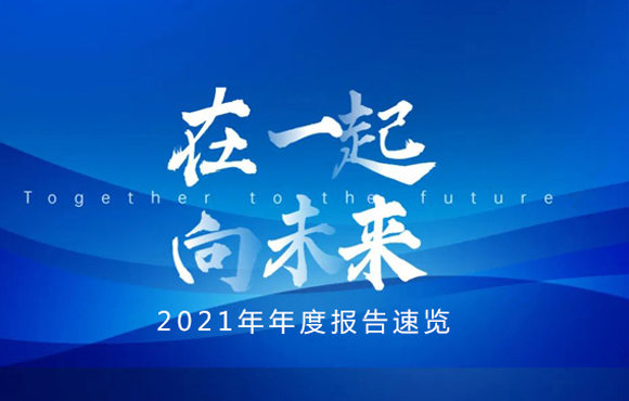 2021年年度报告速览