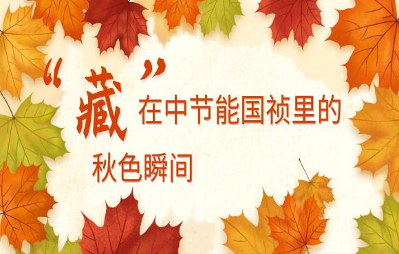 四季国祯丨“藏”在尊龙中国官方网站里的秋色瞬间