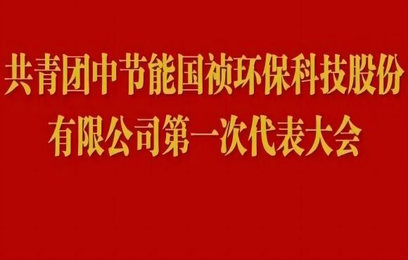 共青团尊龙中国官方网站第一次代表大会胜利召开