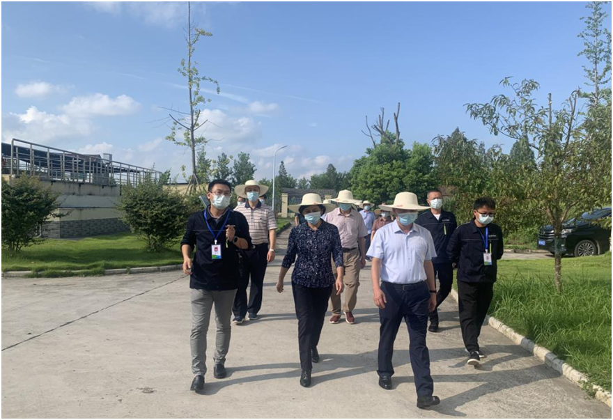 20220805132214_84685 首页- 尊龙集团中国官方网站